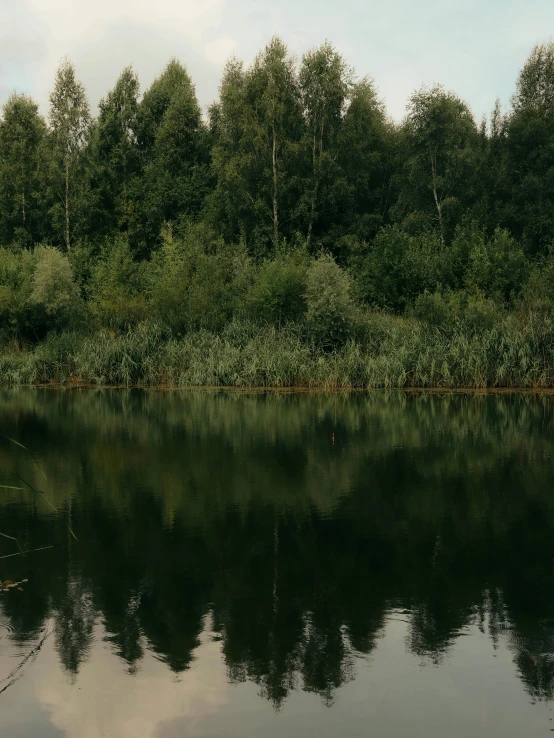 a body of water with trees in the background, a picture, by Attila Meszlenyi, unsplash, hurufiyya, low quality footage, pond, alexey gurylev, cinematic style photograph