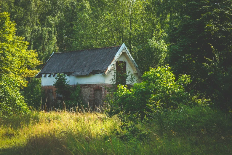 a small white house sitting in the middle of a forest, inspired by Isaac Levitan, unsplash, renaissance, in an abandoned barn, nordic summer, 90's photo