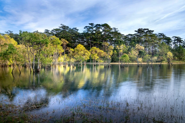 a large body of water surrounded by trees, hurufiyya, fan favorite, award - winning photo ”, straya, iu