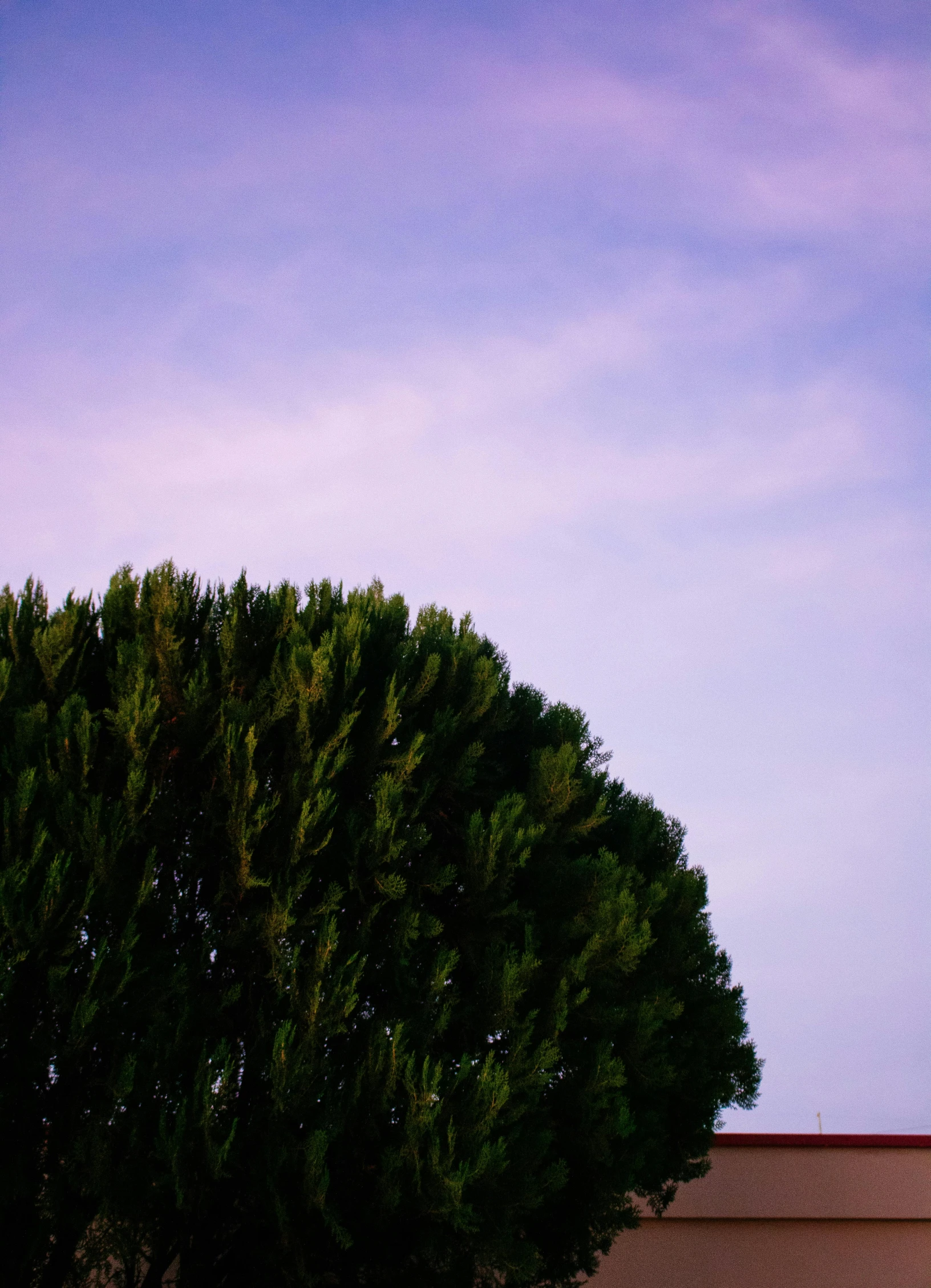 a man flying through the air while riding a skateboard, by Sven Erixson, unsplash, postminimalism, topiary, at twilight, marbella landscape, today\'s featured photograph 4k