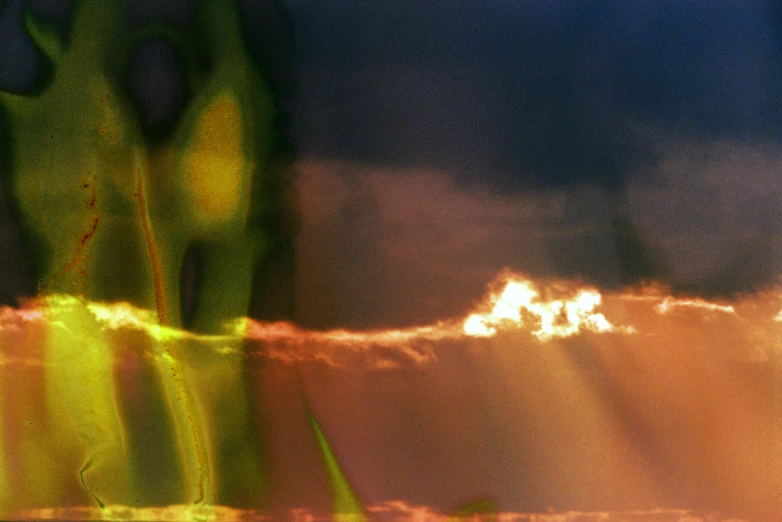 a vase filled with flowers sitting on top of a table, an album cover, by Jan Rustem, unsplash, nuclear art, glowing nacreous clouds, 35mm film still from 1994, holding green fire, abstract claymation