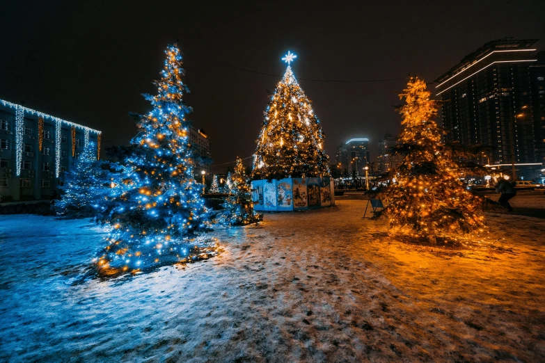 a couple of trees that are in the snow, by Adam Marczyński, pexels contest winner, christmas lights, cinematic blue and gold, in moscow centre, avatar image