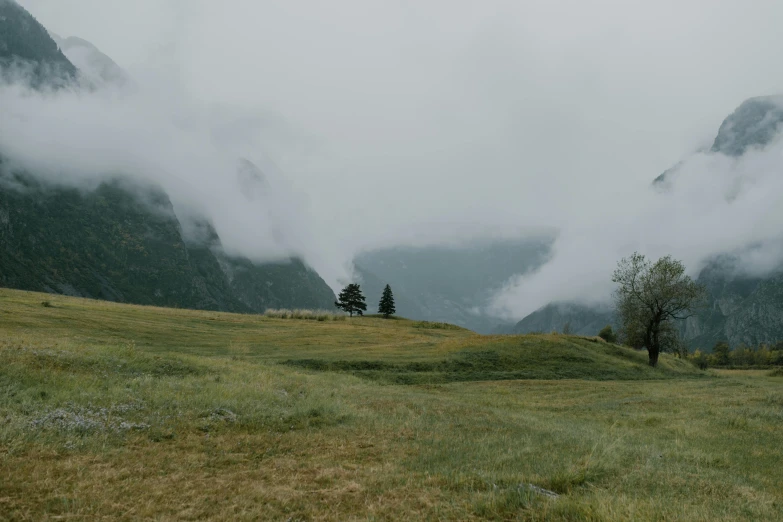 a couple of trees sitting on top of a lush green hillside, pexels contest winner, gray sky with wispy clouds, swiss alps, concert, standing alone in grassy field