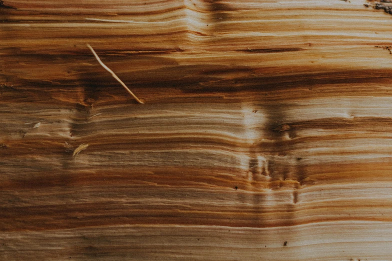 a close up of a piece of wood, by Peter Churcher, trending on pexels, process art, gradient brown to silver, paper grain, pine, unsplash transparent