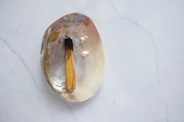 a wooden stick sticking out of an oyster shell, a still life, inspired by Inshō Dōmoto, unsplash, lips on cigarette, mother of pearl iridescent, rectangle, 2 1 0 mm