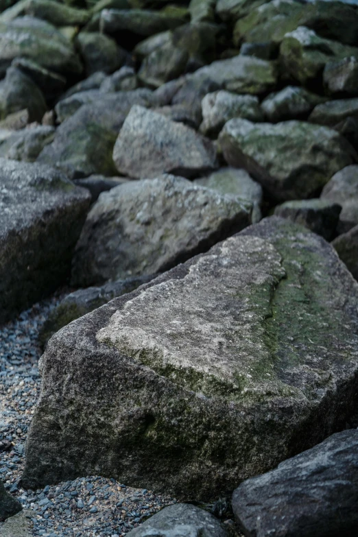 a teddy bear sitting on top of a pile of rocks, close up of iwakura lain, rugged textured face, stone pews, shoreline