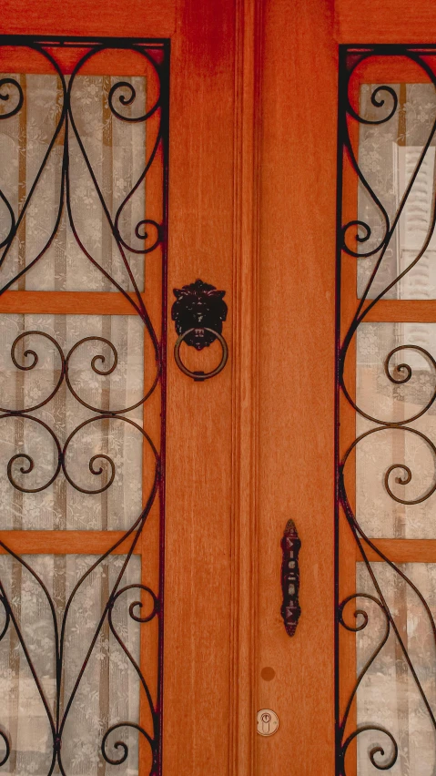 a close up of the front door of a house, by Andre de Krayewski, pexels, art nouveau, square, demur, wooden cabinet, wrought iron