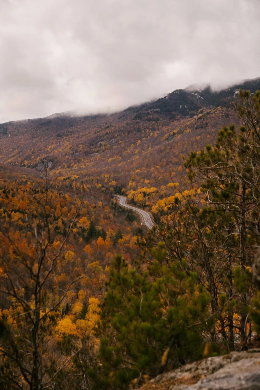 a view from the top of a mountain with trees and mountains in the background, by Jessie Algie, unsplash contest winner, hudson river school, 2 5 6 x 2 5 6 pixels, autumn rain turkel, road trip, new hampshire mountain