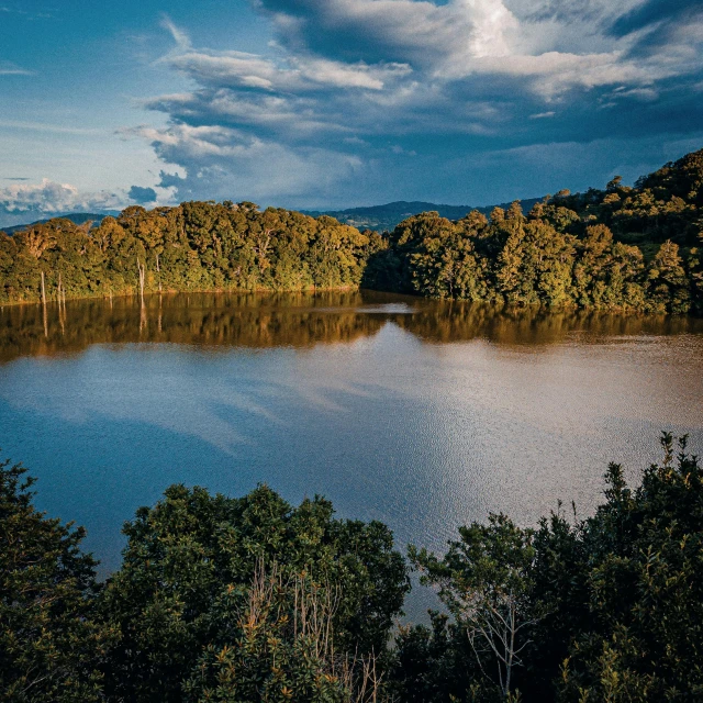 a large body of water surrounded by trees, unsplash contest winner, hudson river school, photography of gregory crewdson, puerto rico, late afternoon sun, wide high angle view