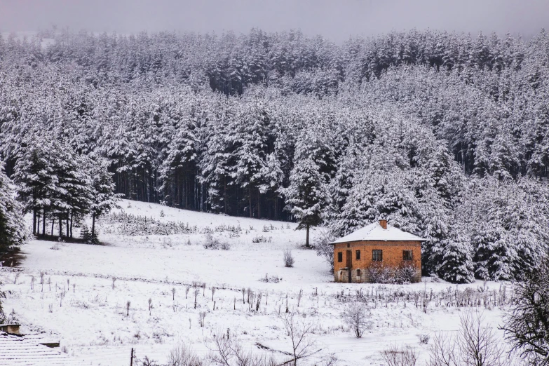 a house sitting in the middle of a snow covered field, by Lucia Peka, pexels contest winner, renaissance, turkey, hidden in the forest, 2000s photo, panoramic