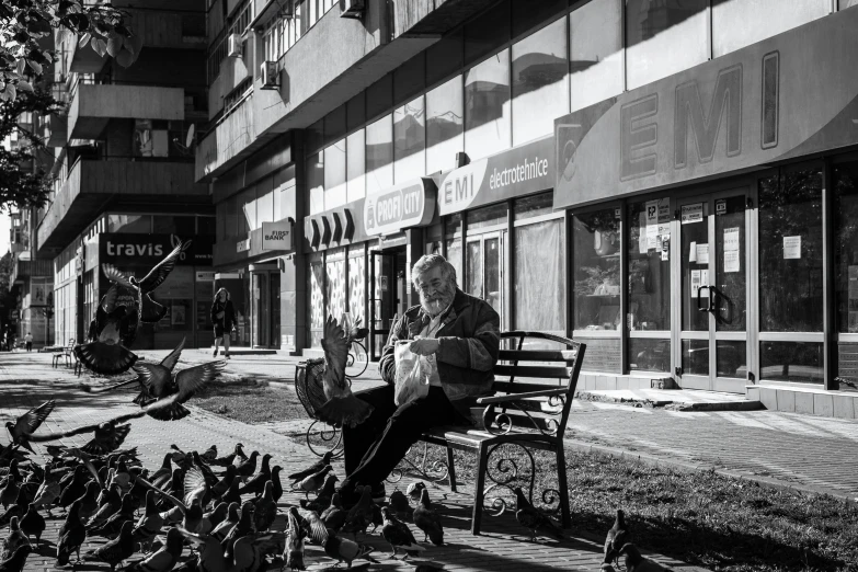 a woman sitting on a bench surrounded by pigeons, a black and white photo, by Kristian Kreković, pexels contest winner, old man doing hard work, bright sunny day, a photo of a man, mircea suciu