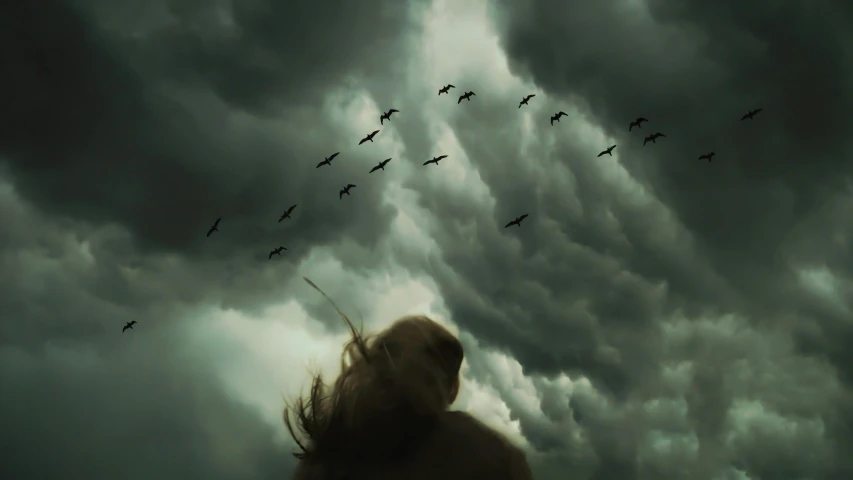 a woman standing in front of a flock of birds, inspired by Brooke Shaden, pexels contest winner, surrealism, turbulent storm clouds, whorl. clouds, birds eye photograph, ominous clouds