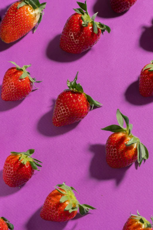 a bunch of strawberries sitting on top of a purple surface, profile image