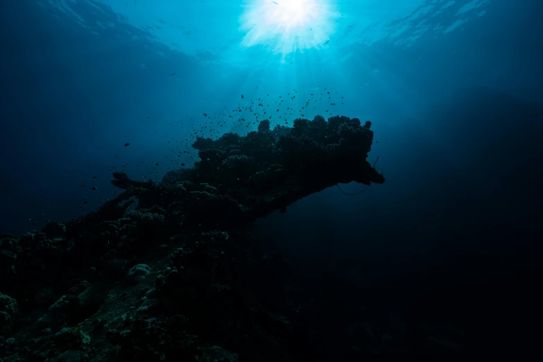 an underwater view of a ship wreck in the ocean, a portrait, by Daniel Seghers, morning sun, shot with sony alpha, blue, afar