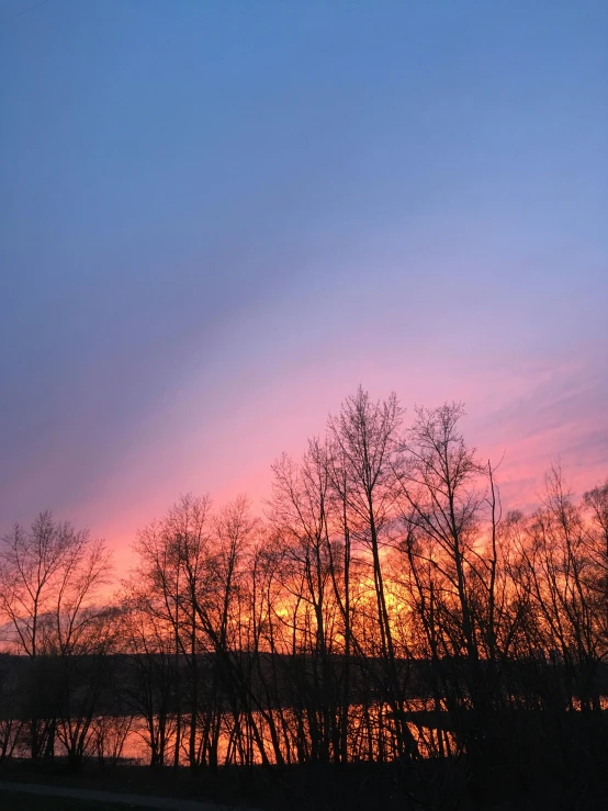 a sunset over a body of water with trees in the foreground, by Anato Finnstark, pexels contest winner, shades of pink and blue, winter setting, sky is orangish outside, low quality photo