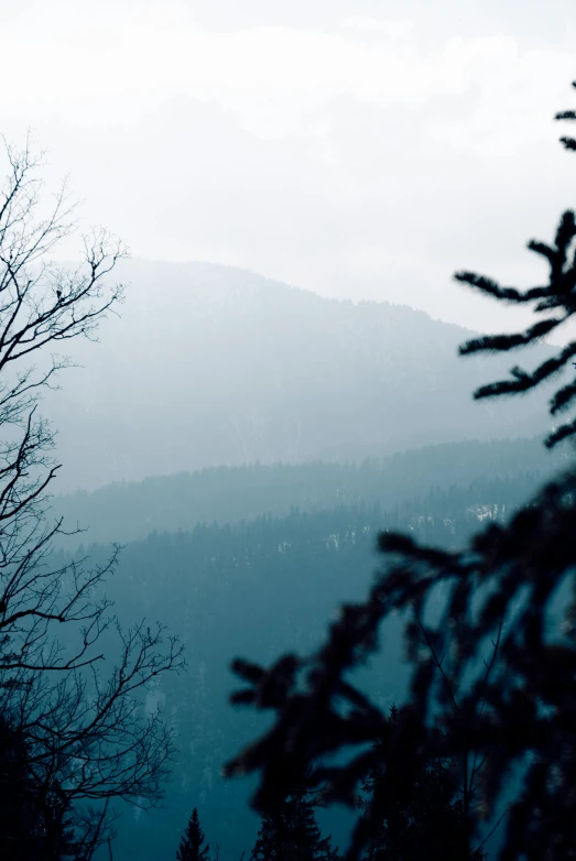 a person riding a snowboard on top of a snow covered slope, a picture, inspired by Elsa Bleda, unsplash, romanticism, dark misty foggy valley, german forest, ((forest)), ominous! landscape of north bend