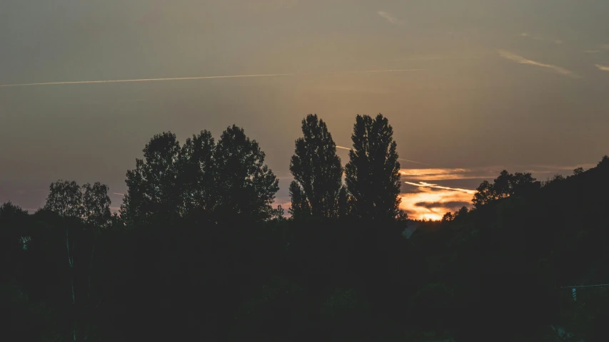 the sun is setting behind some trees, pexels contest winner, summer night, telephoto long distance shot, instagram post, moody light