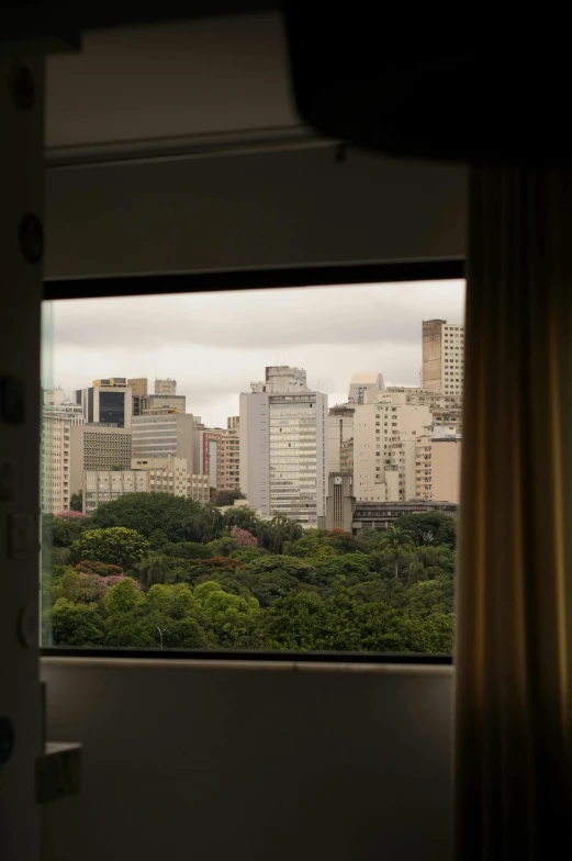 a view of a city through a window, são paulo, hotel room, with dark trees in foreground, indoor picture