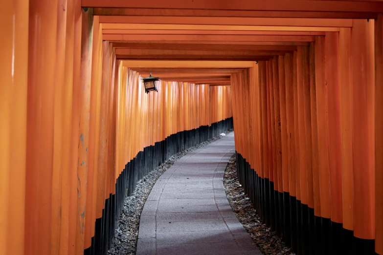 a tunnel of orange tori tori tori tori tori tori tori tori tori tori tori tori tori tori, a picture, unsplash contest winner, ukiyo-e, wooden structures, gateway to another dimension, 🚿🗝📝