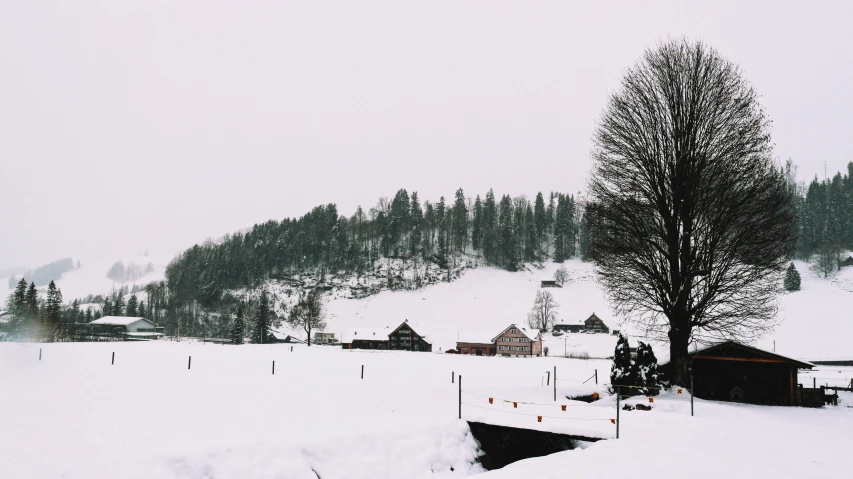 a large field covered in snow next to a forest, pexels contest winner, whitewashed buildings, white sky, log houses built on hills, instagram story