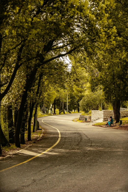 a man riding a skateboard down a curvy road, a picture, by Sven Erixson, unsplash contest winner, sitting under a tree, chile, peaceful suburban scene, green and yellow