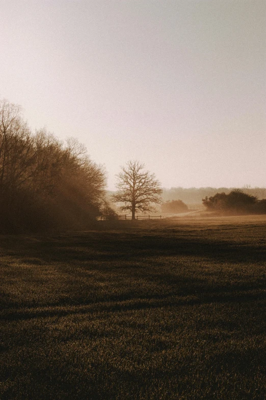 a person is flying a kite in a field, by Sebastian Spreng, unsplash contest winner, tonalism, trees. wide view, morning sunlight, farm, cold mist