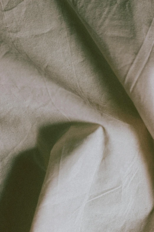 a cat laying on top of a bed next to a pillow, a picture, inspired by Elsa Bleda, unsplash, visual art, folds of fabric, light tan, fabric texture, tight wrinkled cloath