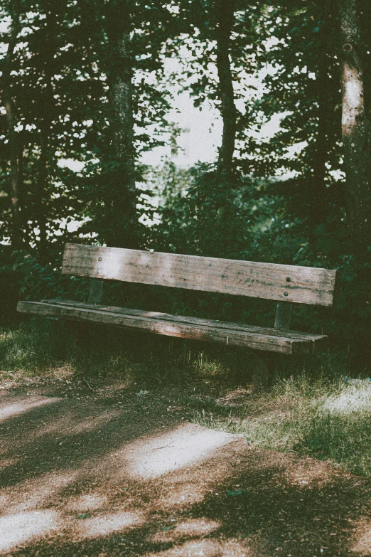 a wooden bench sitting in the middle of a forest, an album cover, inspired by Elsa Bleda, unsplash, realism, vsco film grain, sittin