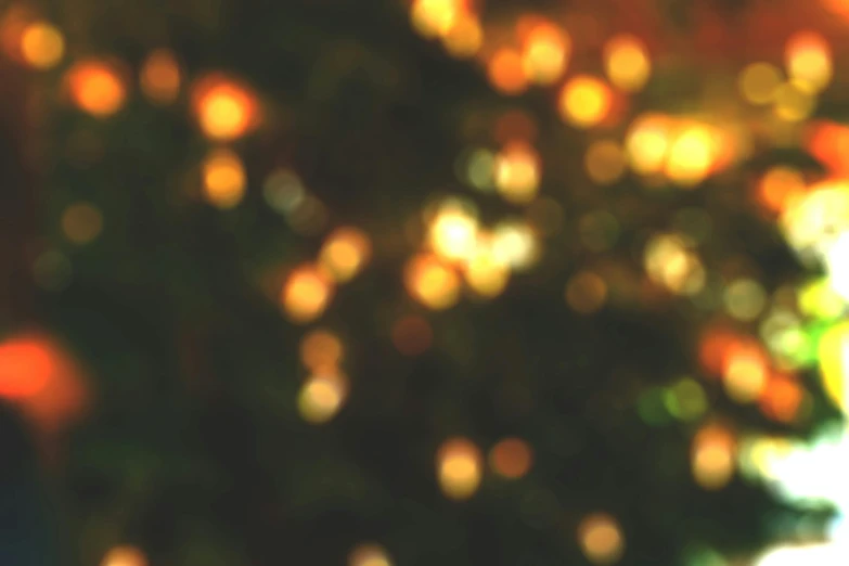 a blurry photo of a tree with oranges in the background, pexels, light and space, candlelit, gold and green, holiday season, slightly pixelated