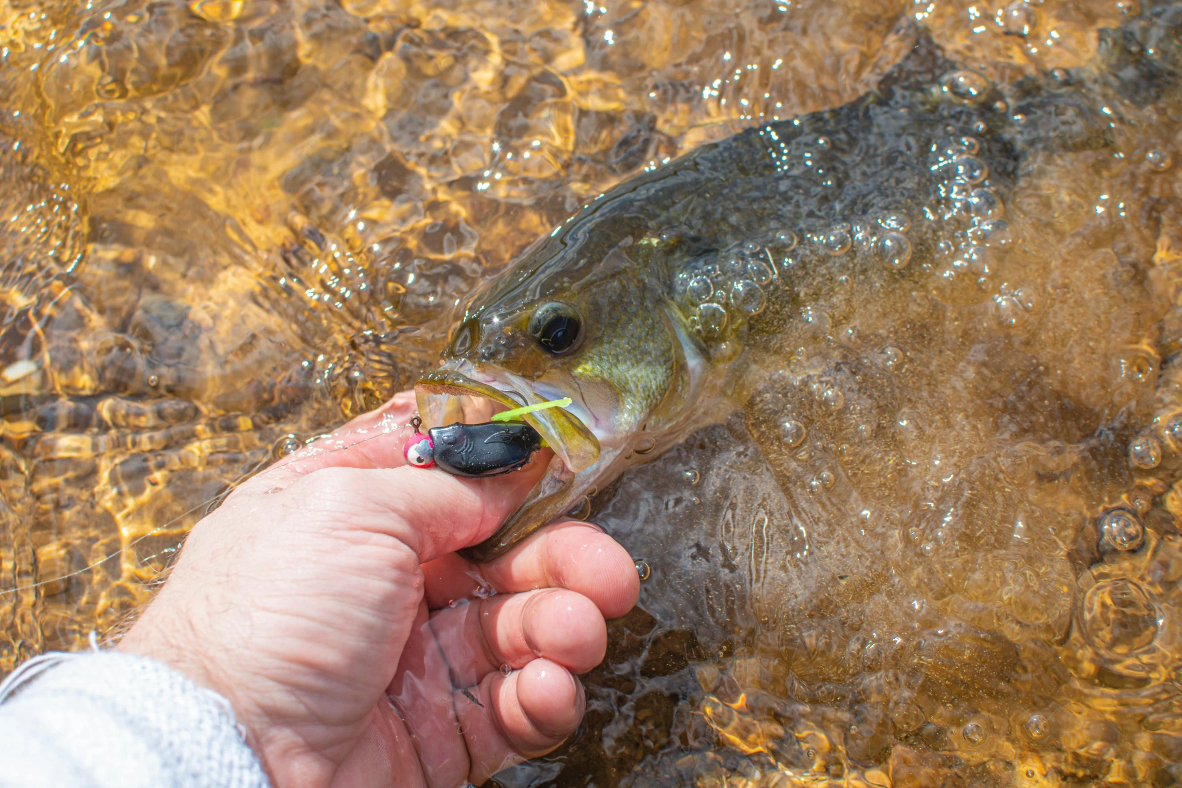 a person holding a fish in a body of water, wide mouth, filling with water, profile image, close up image