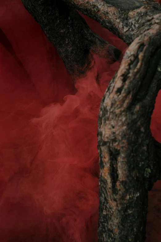 a bird sitting on top of a tree branch, an album cover, inspired by Kim Keever, pexels contest winner, red smoke, red!! sand, a horned, abstract claymation