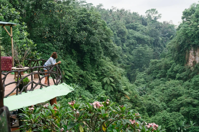 a man standing on top of a bridge next to a lush green forest, sumatraism, avatar image