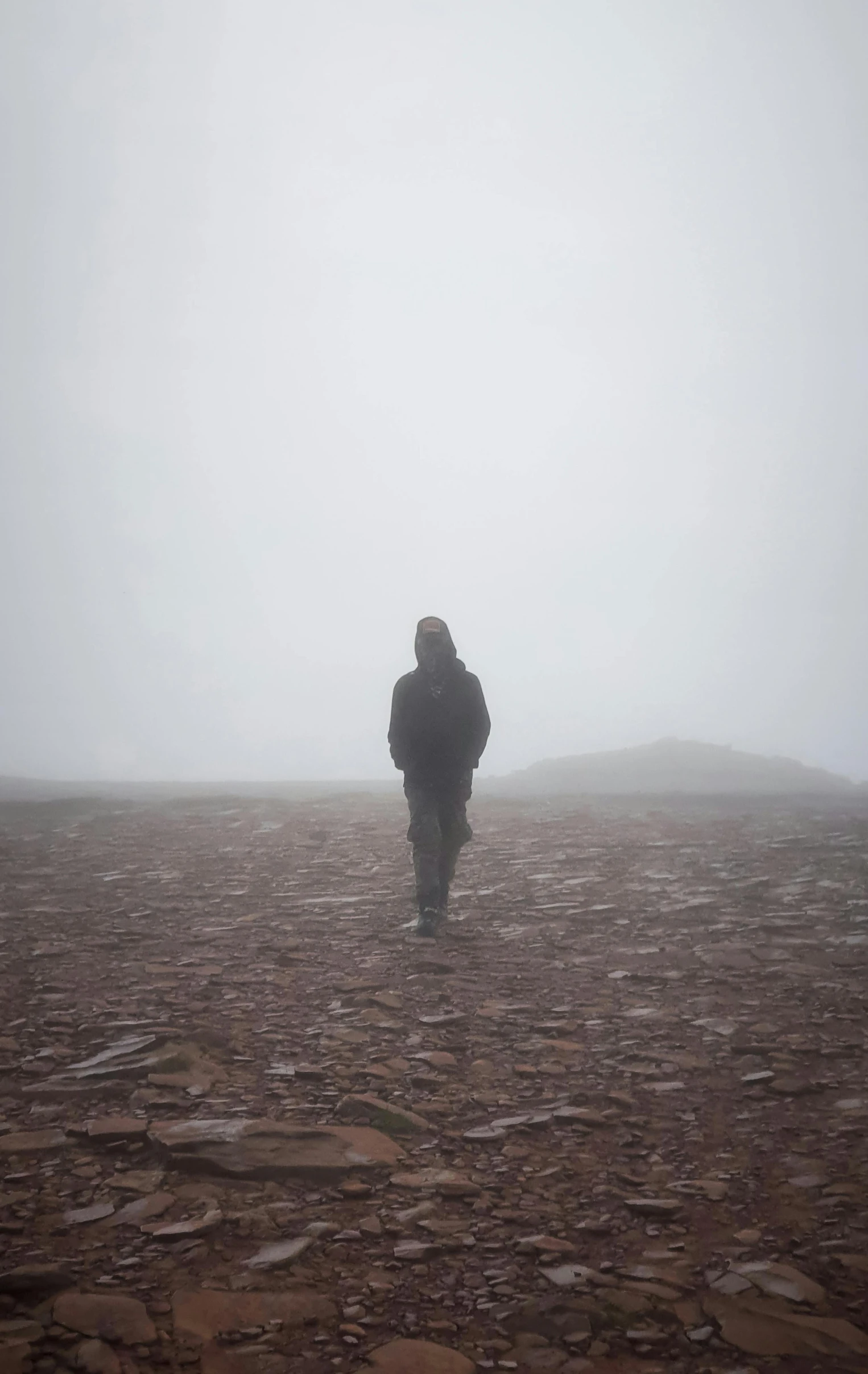 a person standing in the middle of a field on a foggy day, standing on rocky ground, facing away from the camera, distant hooded figures, desolate arctic landscape