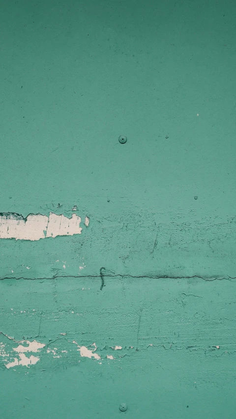 a red fire hydrant sitting on top of a green wall, an album cover, inspired by Elsa Bleda, unsplash, postminimalism, cracked paint, white cyan, wood surface, ( ( abstract ) )