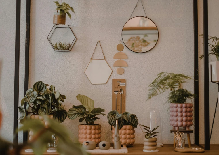 a wooden table topped with lots of potted plants, a still life, trending on pexels, mirrors, quirky shops, geometrical, soft aesthetic