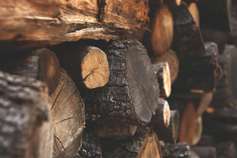 a pile of logs stacked on top of each other, an album cover, unsplash, woodfired, close up image, closeup - view, full width