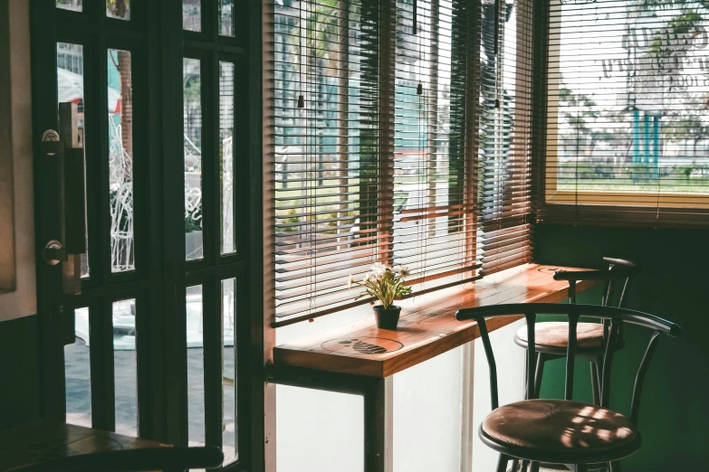 a potted plant sitting on top of a wooden table in front of a window, trending on unsplash, visual art, behind bar deck with bear mugs, in style of kar wai wong, steel window mullions, light entering through a blind