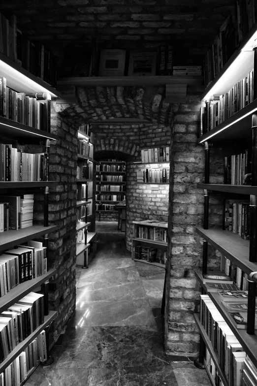 a black and white photo of a library, inspired by Brassaï, renaissance, lost in a cave, ❤🔥🍄🌪, cronenberg bookshop, cellar