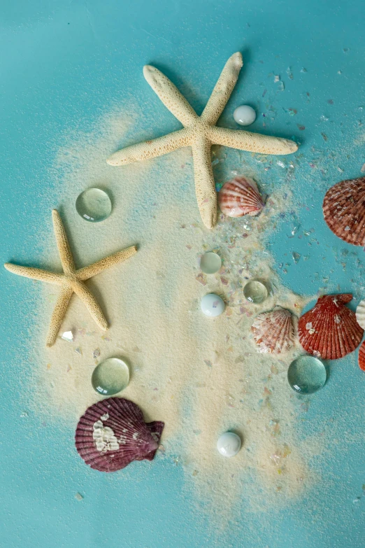 a blue plate topped with shells and starfishs, shutterstock contest winner, underwater bubbles, sand banks, paul barson, vanilla