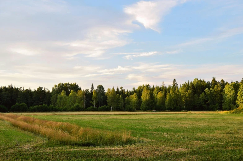 a field of grass with trees in the background, by Jaakko Mattila, pexels contest winner, land art, nice afternoon lighting, skies, today\'s featured photograph 4k, farms