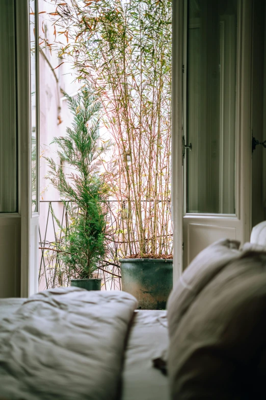 a bed sitting in a bedroom next to a window, inspired by Elsa Bleda, trending on unsplash, french garden, evergreen branches, balcony door, bathed in light