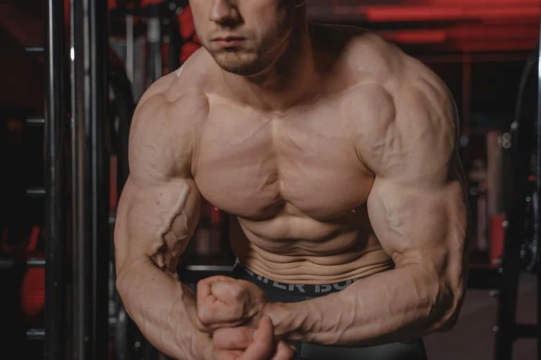 a man posing for a picture in a gym, by Adam Marczyński, pexels contest winner, realism, upper body!!, detailed veins, stacked image, clenching