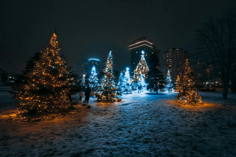 a park filled with lots of trees covered in snow, by Adam Marczyński, pexels contest winner, christmas lights, toronto city, thumbnail, spruce trees on the sides