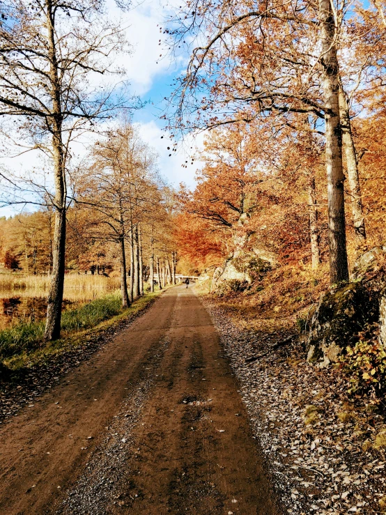 a dirt road in the middle of a forest, by Christen Dalsgaard, les nabis, autumnal colours, slide show, lakes, phone photo