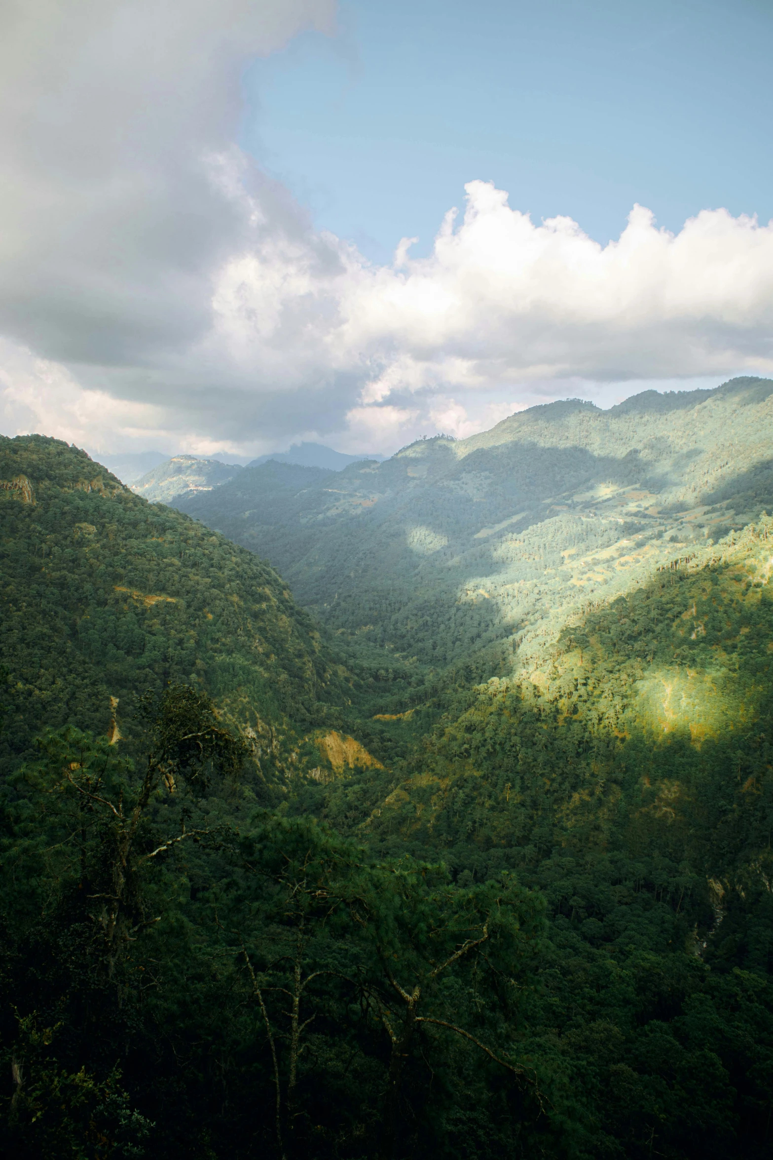 a view of the mountains from the top of a hill, by Peter Churcher, sumatraism, andes mountain forest, sri lanka, overhead sun, taken in the late 2000s