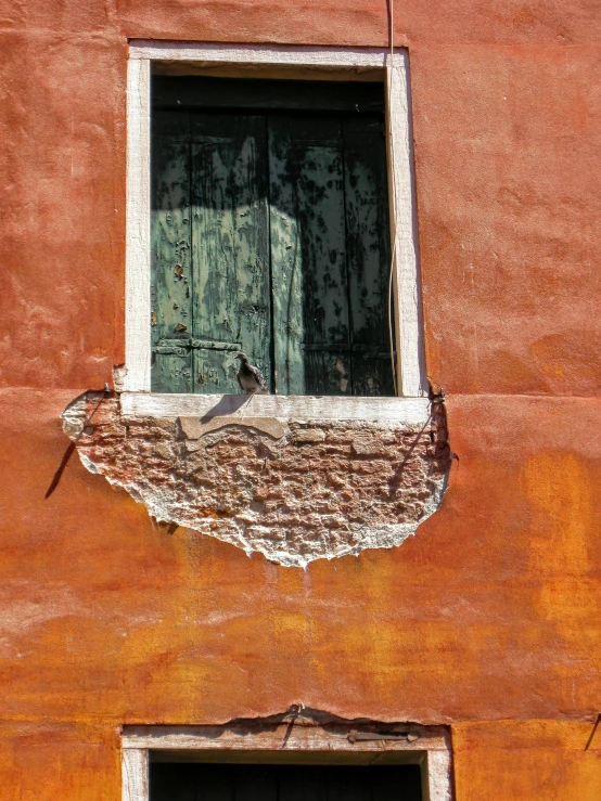 a bird sitting on top of a window sill, inspired by Steve McCurry, pexels contest winner, renaissance, smashed wall, venice, red wall, archival pigment print