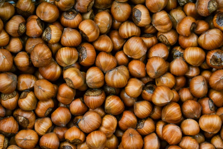 a pile of brown onions sitting on top of each other, an album cover, by Yasushi Sugiyama, pexels, some oak acorns, hyper detailed hyper detailed, nut, 1 6 x 1 6