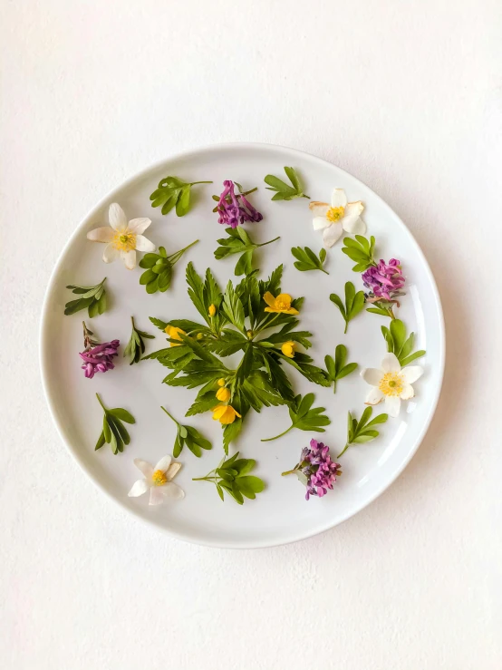 a white plate topped with flowers and leaves, inspired by Barthélemy Menn, unsplash, buttercups, servando lupini, round format, fragrant plants