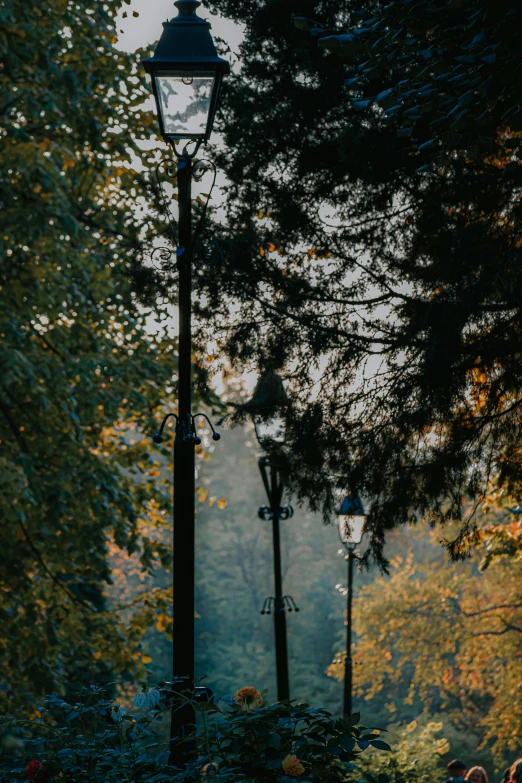 a group of people sitting on a bench in a park, by Adam Marczyński, unsplash contest winner, gas street lamps. country road, with a tall tree, detailed light, looking downwards