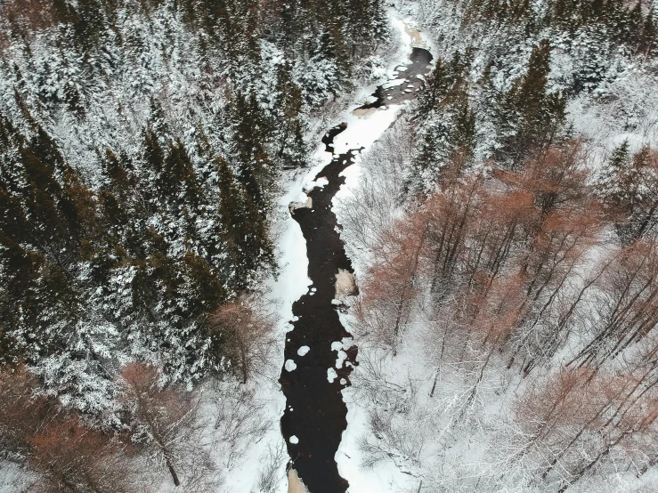 a river running through a snow covered forest, by Jaakko Mattila, pexels contest winner, hurufiyya, camera looking down upon, black, brown, iphone photo